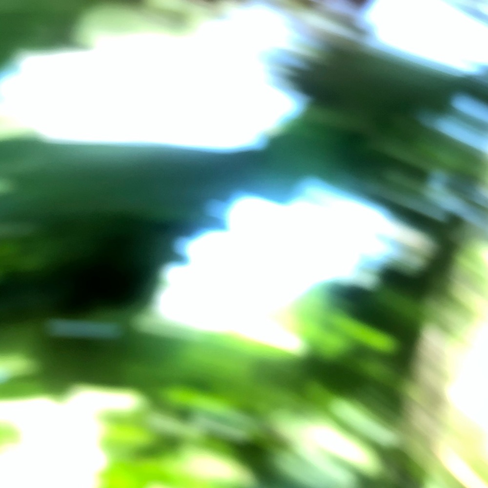 Meet your Posher, Molly